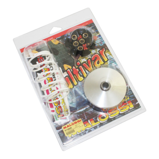 Variateur Multivar 2000 MALOSSI Honda 50 Vision 2012-2018