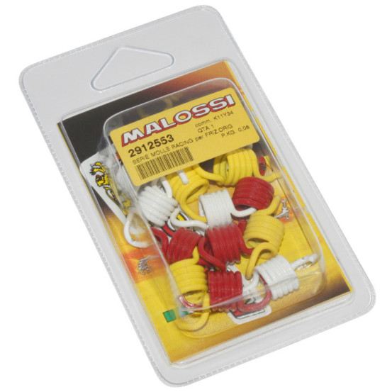 Kit 9 ressorts embrayage SP MHR MALOSSI Honda 400/600 FJS Silverwing Kymco 500 X-Citing