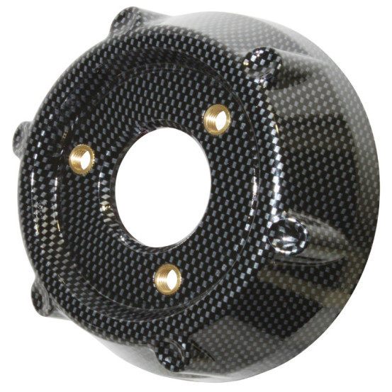 Embout de pot d'échappement Yamaha 125 X-Max / MBK 125 Skycruiser après 2006 Carbone