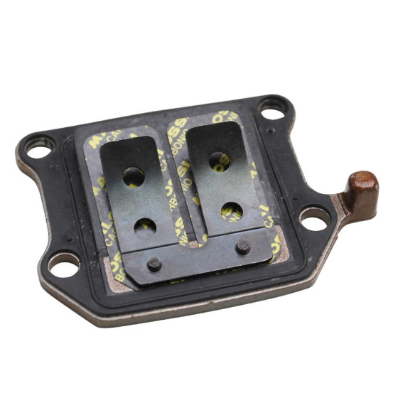 Clapets VL10 6 lamelles 0,30mm carbone MALOSSI Aprilia/Italjet/MBK/Yamaha 50cc
