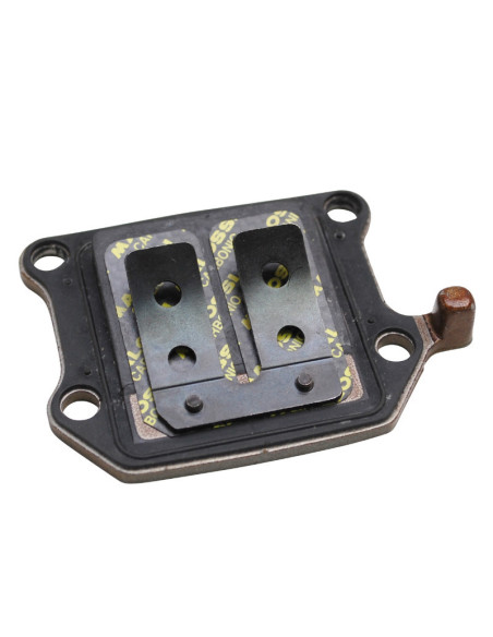 Clapets VL10 6 lamelles 0,30mm carbone MALOSSI Aprilia/Italjet/MBK/Yamaha 50cc