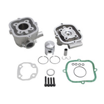 Kit cylindre et culasse complet MALOSSI GR2 50cc 39mm MBK/Motobécane 51