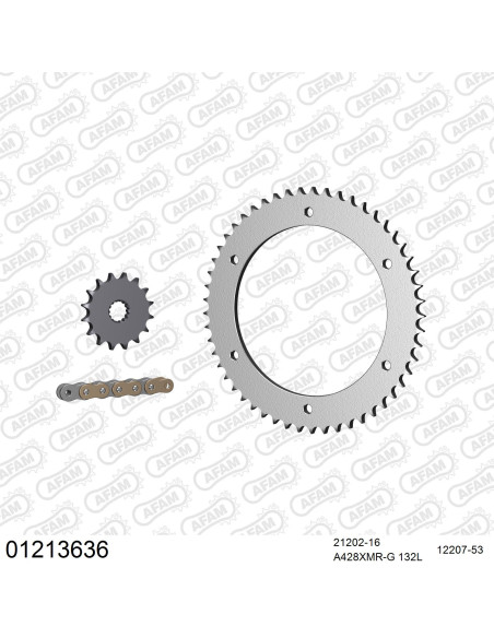 Kit chaine 428 AFAM - Couronne acier - Type de chaine au choix - YAMAHA TDR 125 BELGARDA 1989-1993
