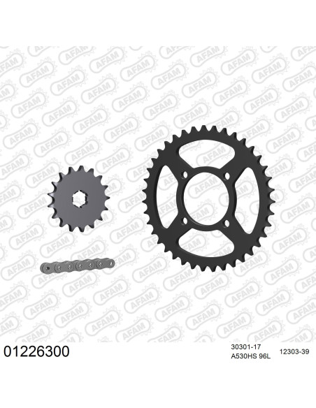 Kit chaine 530 AFAM - Couronne acier - Type de chaine au choix - YAMAHA RD 250 DX 1976