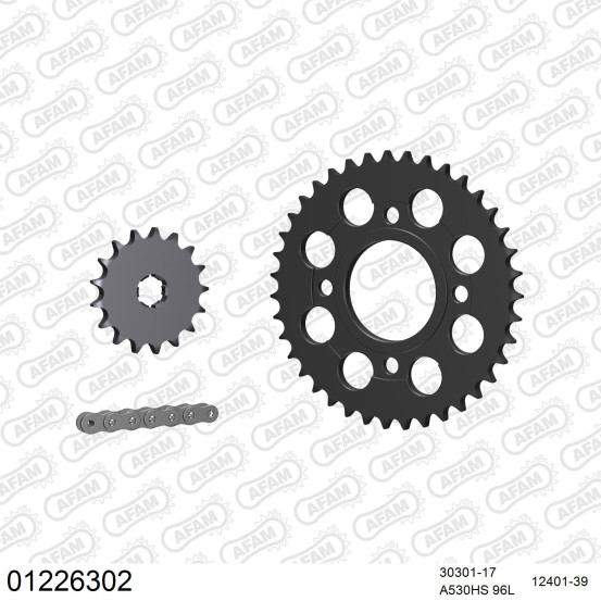 Kit chaine 530 AFAM - Couronne acier - Type de chaine au choix - YAMAHA RD 250 DX 1979-1980