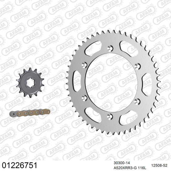 Kit chaine 520 AFAM - Couronne acier - Type de chaine au choix - YAMAHA WR 250 Z 1991-1997