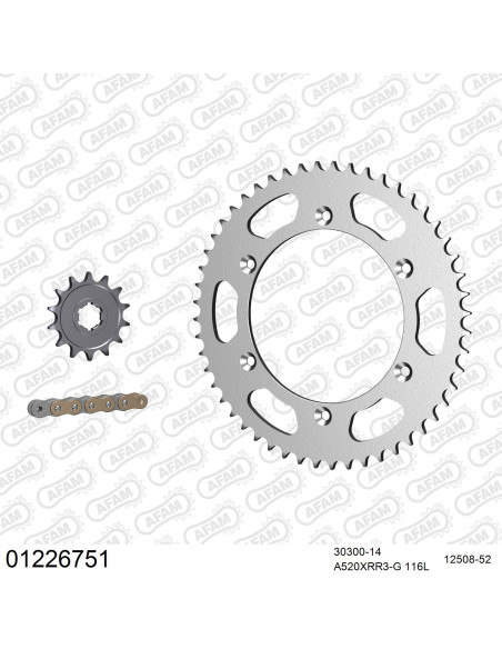 Kit chaine 520 AFAM - Couronne acier - Type de chaine au choix - YAMAHA WR 250 Z 1991-1997