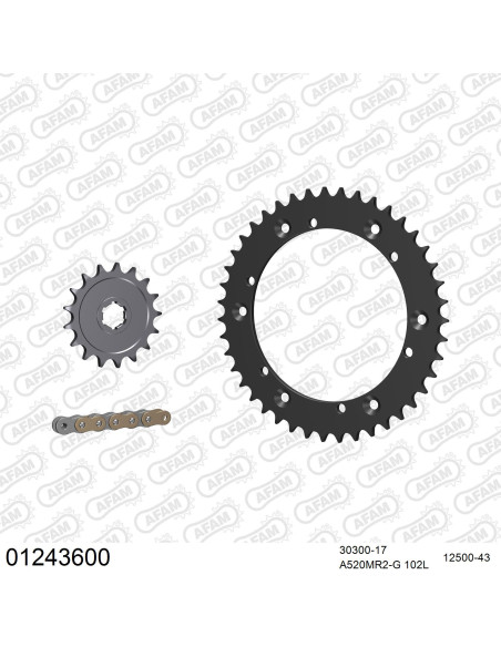 Kit chaine 520 AFAM - Couronne acier - Type de chaine au choix - YAMAHA DT 400 MX 1977-1978