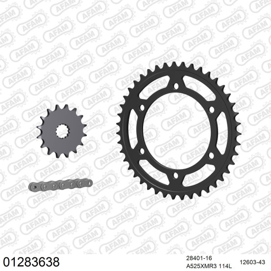 Kit chaine 525 AFAM - Couronne acier - Type de chaine au choix - YAMAHA TDM 850 4TX4 1999-2001