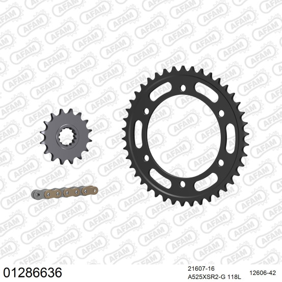 Kit chaine 525 AFAM - Couronne acier - Type de chaine au choix - YAMAHA TDM 900 2002-2014