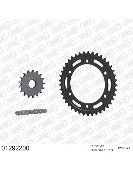 Kit chaine 530 AFAM - Couronne acier - Type de chaine au choix - YAMAHA FJ 1100 1984-1985