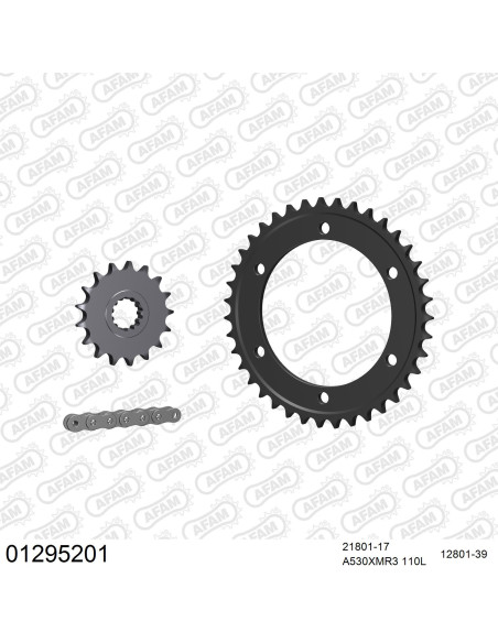 Kit chaine 530 AFAM - Couronne acier - Type de chaine au choix - YAMAHA FJ 1200 ABS 1991-1995