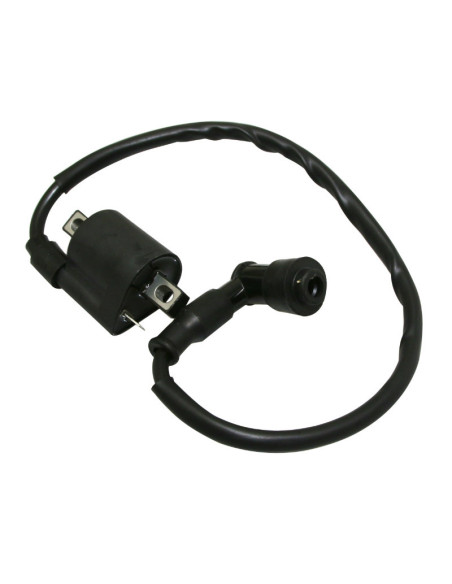 Bobine d'allumage Generic 50 Trigger/CPI 50 SM 2006-2014