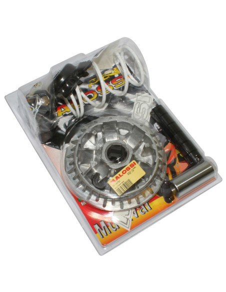 Variateur Multivar 2000 MALOSSI Kawasaki J300 /Kymco 250/300/350cc