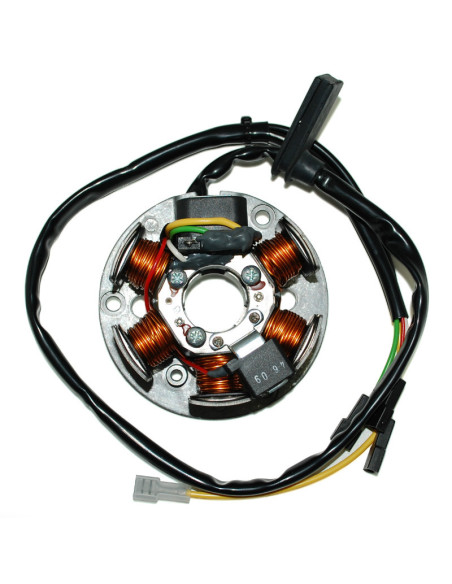 Stator TOP PERFORMANCES MBK 50 X-Power 2000-2006 Yamaha 50 TZR 1996-2006