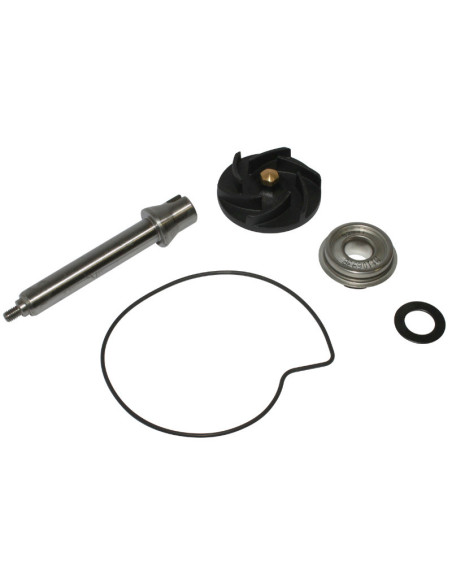 Kit reparation pompe à eau Piaggio 400 MP3 X-Evo Beverly 500 Beverly MP3 X9 X10