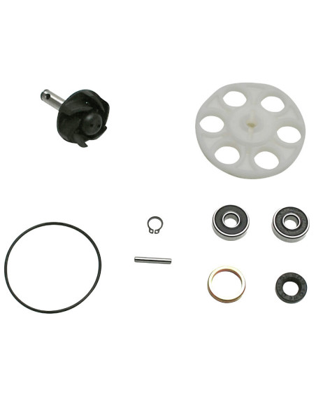 Kit réparation pompe à eau TOP PERFORMANCES Aprilia/Benelli/Beta/Italjet/Malaguti/MBK/Yamaha 50cc