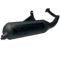 Pot d'échappement MALOSSI Wild Lion Kymco Agility Dink People Super 9 Top Boy Sym Jet 2T