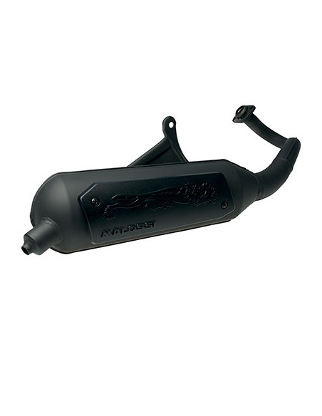 Pot d'échappement MALOSSI Wild Lion Kymco Agility Dink People Super 9 Top Boy Sym Jet 2T