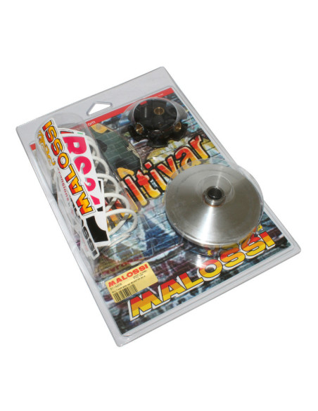 Variateur Multivar 2000 MALOSSI Peugeot/Sym 50cc