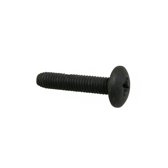 Vis origine Piaggio (M6x100 L.30mm)