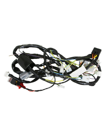 Faisceau électrique mécaboite origine Derbi Senda / RX50 / Gilera SMT / RCR Euro 3