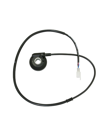 Capteur de vitesse de compteur Derbi 50 DRD / GPR / Aprilia 50 RX / SX / RS