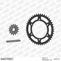 Kit chaine 520 AFAM - Couronne acier - Type de chaine au choix - CAGIVA 600 W 16