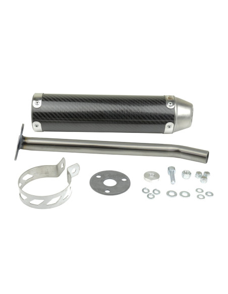 Silencieux carbone ATHENA - DERBI