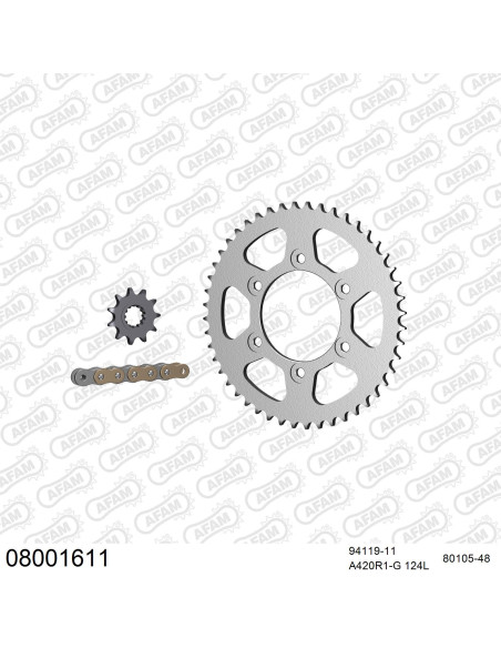 Kit chaine 420 AFAM - Couronne acier - Type de chaine au choix - RIEJU 50 RR / SPIKE SM 2003-2004