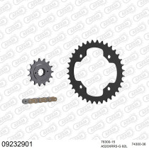 Kit chaine 520 AFAM - Couronne acier - Type de chaine au choix - TGB 325 BLADE 13C 2009-2012