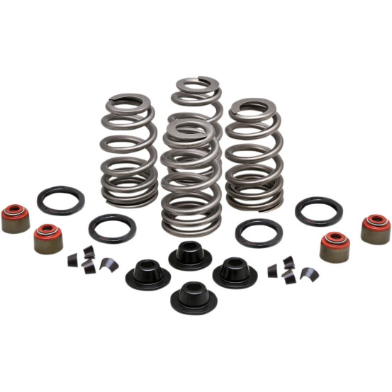 Kit de ressorts de soupape KIBBLEWHITE - BUELL XB9R 2003-2007