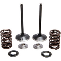 Kit de soupapes d'admission Black Diamond™ + ressorts + coupelles KIBBLEWHITE - HONDA TRX 450 R 2004-2005