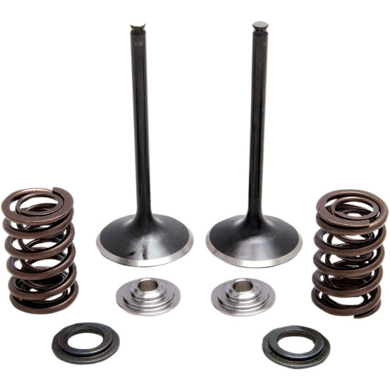 Kit de soupapes d'admission Black Diamond™ + ressorts + coupelles KIBBLEWHITE - HONDA TRX 450 R 2004-2005