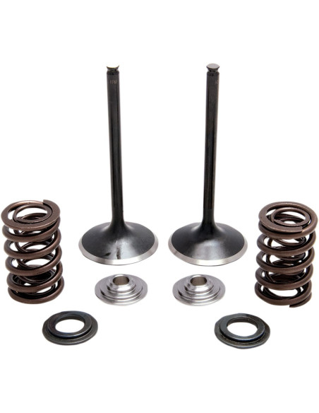 Kit de soupapes d'admission Black Diamond™ + ressorts + coupelles KIBBLEWHITE - HONDA TRX 450 R 2004-2005