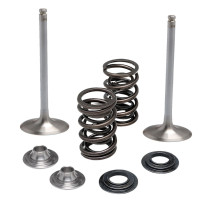 Kit de soupapes d'admission White Diamond™ + ressorts + coupelles KIBBLEWHITE - KAWASAKI KX 250 2021-2021