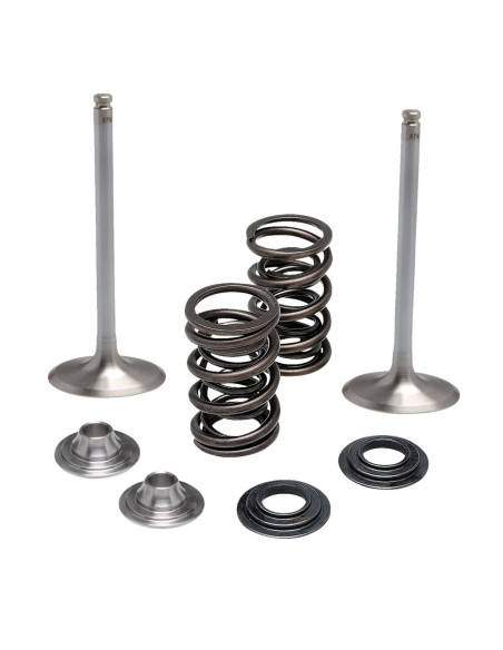 Kit de soupapes d'admission White Diamond™ + ressorts + coupelles KIBBLEWHITE - KAWASAKI KX 250 2021-2021