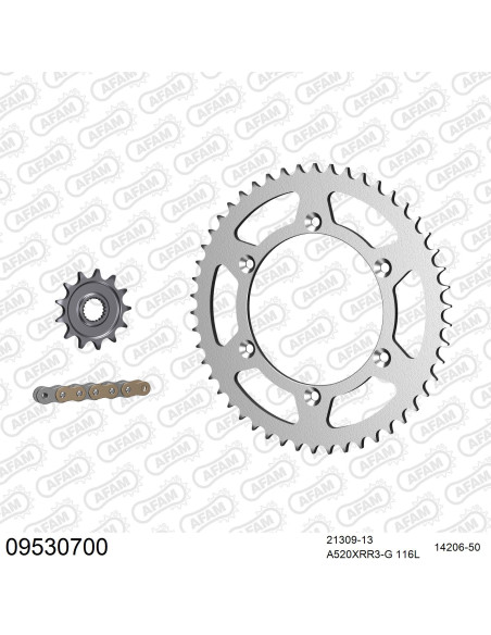 Kit chaine 520 AFAM - Couronne acier - Type de chaine au choix - GAS GAS 300 EC-F ENDURO 4T 2013