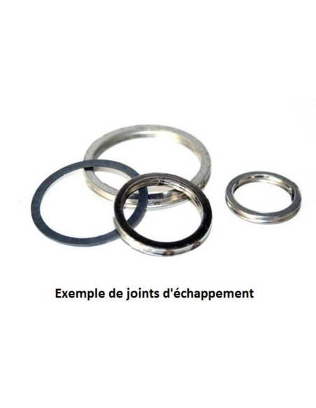 Joint d'échappement Centauro pour rotax 503