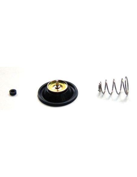 Kit réparation pompe d'enrichissement TOURMAX HONDA 250 à 1100cc