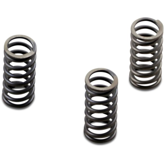 Ressorts d'embrayage renforcés EBC - HARLEY DAVIDSON