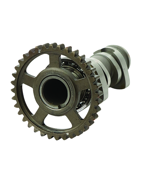 Arbre à cames - stage 1 - HOTCAMS - HONDA 450 CRF R /CRE-M, F R 2013-2014