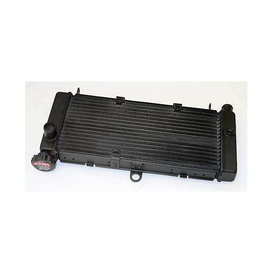 Radiateur Moto Eau Honda 600 Hornet 1998-2006