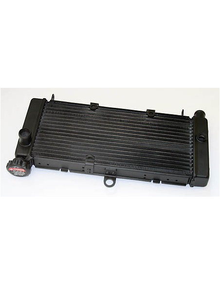 Radiateur Moto Eau Honda 600 Hornet 1998-2006