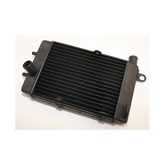 Radiateur Moto Eau Honda 125 CBR 2004-2015