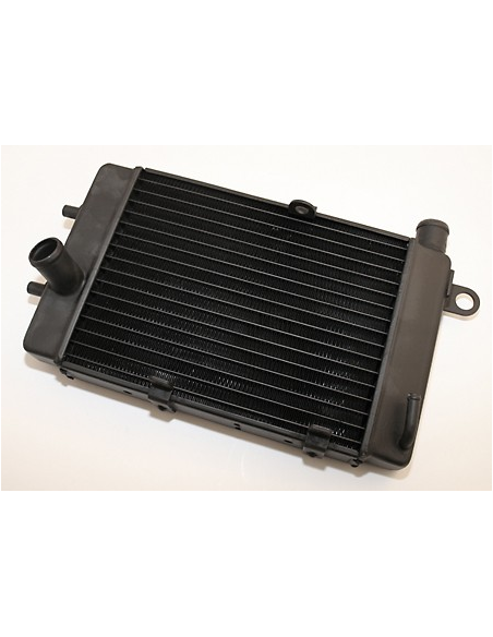 Radiateur Moto Eau Honda 125 CBR 2004-2015