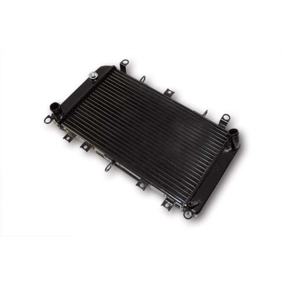 Radiateur Moto Eau Kawasaki 600 ZX-6R 1998-1999