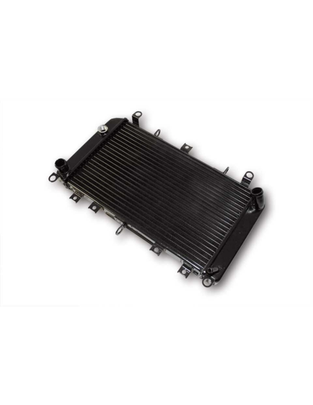 Radiateur Moto Eau Kawasaki 600 ZX-6R 1998-1999