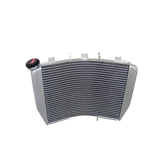 Radiateur Moto Huile Suzuki 1200 GSF Bandit 1996-2000