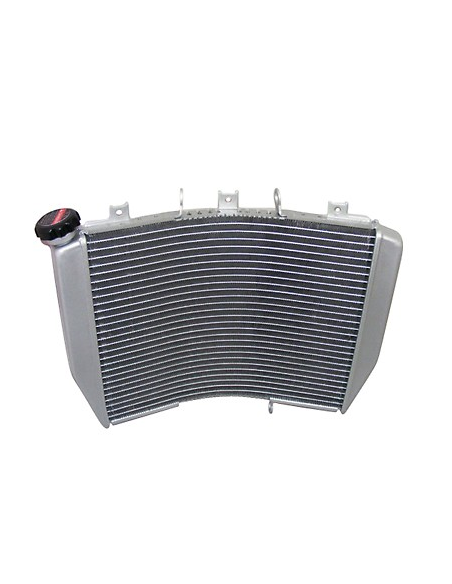 Radiateur Moto Huile Suzuki 1200 GSF Bandit 1996-2000